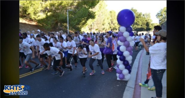 Purple Walk of Strength 2016