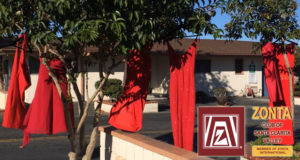 Zonta Red Dress Project