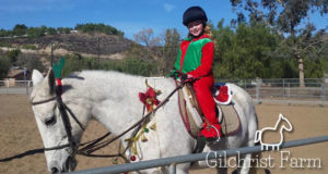 Gilchrist Farm Holiday Hoedown
