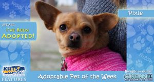 KHTS Adoptable Pet of the Week - Pixie Adopted