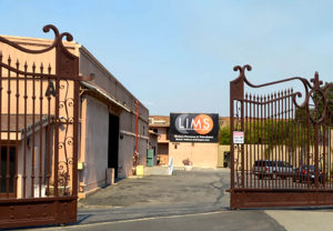 LIMS, Lifton Institute for Media Arts and Sciences