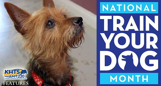 National Train Your Dog Month