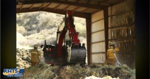 Fox Feed Fire