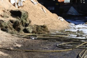 fox feed and tack pet suppliesfire hay