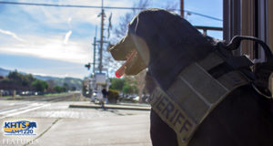 A Day In The Life Of LASD Explosives Detection Dog ‘Sstack’