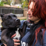 KHTS Adoptable Pet of the Week - Vader