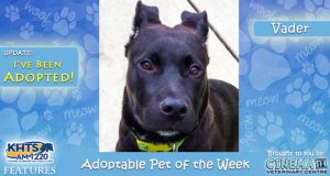 KHTS Adoptable Pet of the Week - Vader