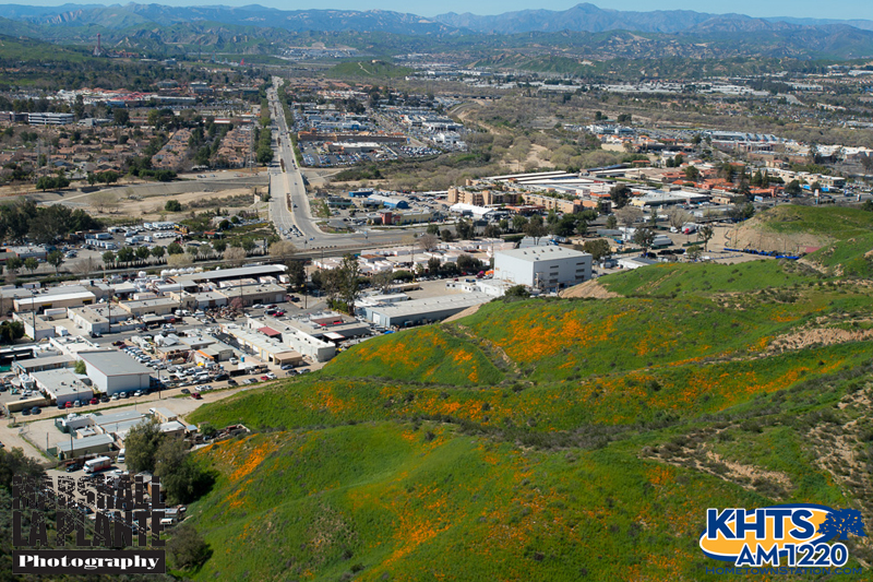 Santa Clarita Poppies