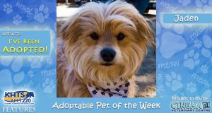 KHTS Adopt a Pet - Jaden - Adopted