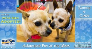 KHTS-Adoptable-Pet-of-the-Week-Bonnie-and-Clyde - Adopted