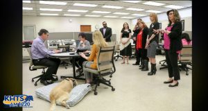 Santa Clarita Valley school board members, superintendents and stakeholders toured several local special education facilities recently to look at how the districts are collaborating.
