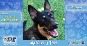 KHTS Adopt a Pet - Kronos