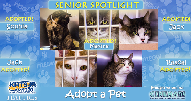 KHTS Adopt a Pet - Seniors Adopted