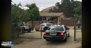 About 10 days after Sheriff’s Department officials busted up what’s believed to be the largest cockfighting ring in U.S. history, they’re still sifting through a mountain of evidence.