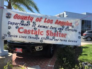 Valencia Nissan Pet Adoption Day, Castaic Animal Shelter
