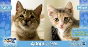 KHTS Adopt a Pet - Hope and Faith Adopted - Madelines Angels Pet Sanctuary