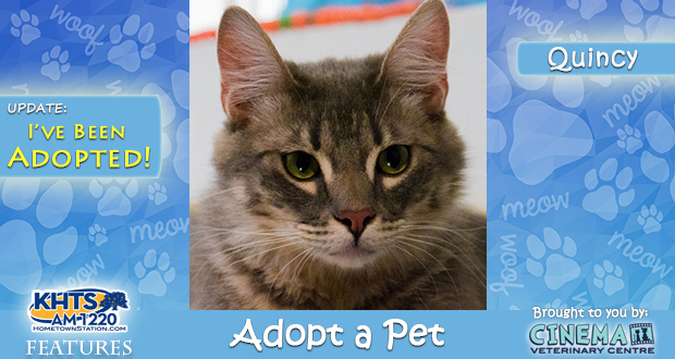 KHTS Adopt a Pet Quincy - Adopted