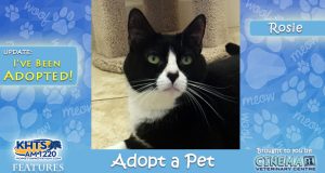 KHTS Adopt a Pet Update - - Rosie