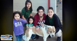 St. Bonnie’s Sanctuary, Lange Foundation To Hold County Shelter Adoption Event This Weekend