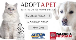 Valencia Nissan Works With Castaic Animal Shelter To Find Cats And Dogs A Loving Home