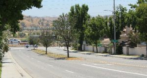 Hillcrest Residents, Castaic Town Council Hears From County On Landscaping Concerns