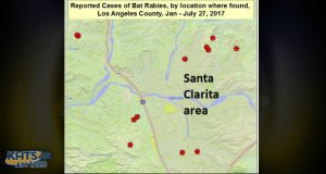 Public Health officials reported several rabid bats have been found in Santa Clarita recently, prompting reminders from local veterinarians about the importance of vaccinations.