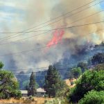 Prosecutors declined to press charges against a man who detectives believe started a fire in the Newhall.