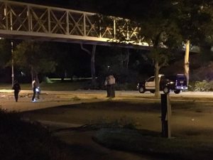 Initial reports indicate a white BMW might have been speeding when the driver lost control, clipped another vehicle, hit a tree and then careened into oncoming traffic.