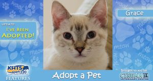 KHTS-Adopt-a-Pet-Grace Adopted