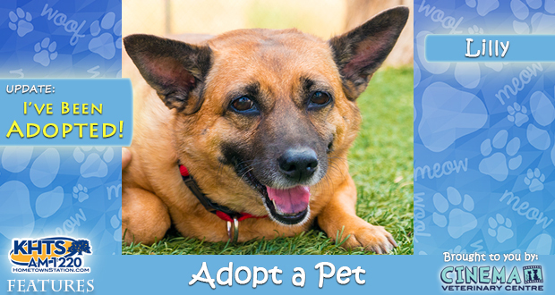 KHTS-Adopt-a-Pet-Lilly Adopted