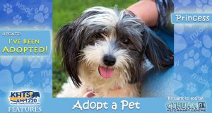KHTS-Adopt-a-Pet-Princess- Adopted