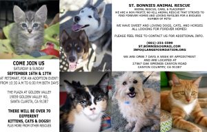 St. Bonnie’s Sanctuary To Showcase Adoptable Animals Sept. 16-17