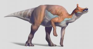Courtesy of the Natural History Museum of Los Angeles County