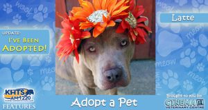 KHTS-Adopt-a-Pet-Latte Adopted