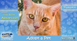 KHTS Adopt a Pet