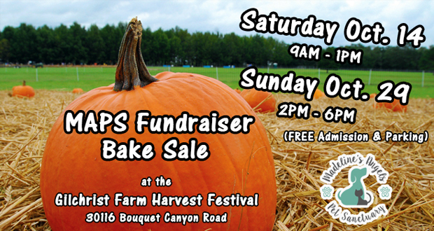 Madeline’s Angels Pet Sanctuary To Sell Fall Treats, Desserts At Gilchrist Farm Harvest Festival Bake Sale