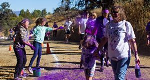 Domestic Violence, Purple Walk Of Strength, Domestic violence victims, DVC, SCV, Santa Clarita Residents, Community, Domestic Violence Support