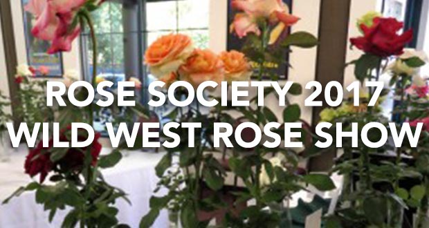 Rose Society 2017 Wild West Rose Show - Top Things to do in Santa Clarita