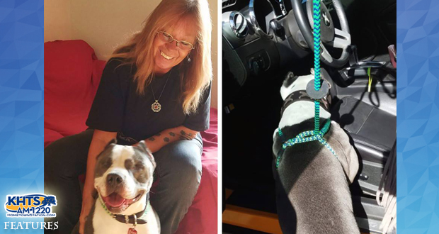 KHTS Adopt A Pet Success Story - Blind Pitbull Nikova Adopted After Gaining National Attention