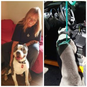 KHTS Adopt a Pet - Nikova Success Story