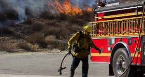 New Large Animal Rescue Project During Brush Fires Are Set To Be Implemented