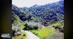 Valley Fever Contracted By Hiker After Visiting Towsley Canyon