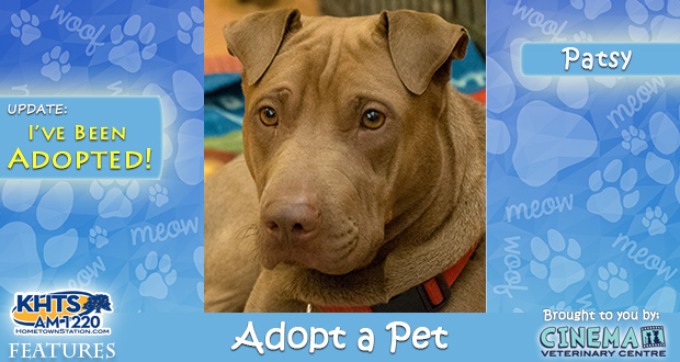 KHTS-Adopt-a-Pet-Patsy Adopted