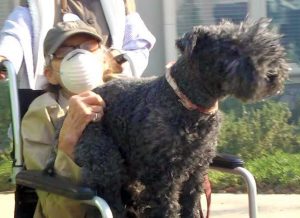 Oakmont Of Santa Clarita Looks Back On Rye Fire Evacuation