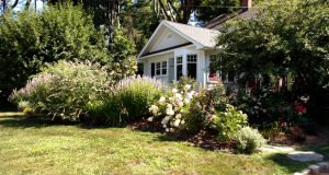 Smaller Yard Landscapes