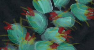 2018 KHTS Home and Garden Show, 2018 Home and Garden Show Vendor For the Love of Cacti