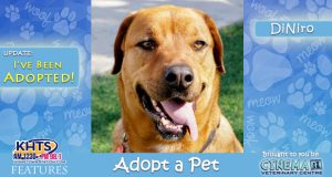 KHTS-Adopt-a-Pet-DiNiro Adopted