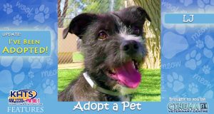 KHTS-Adopt-a-Pet-LJ-Adopted