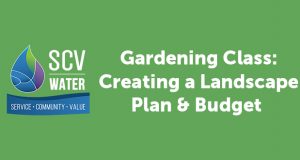 SCV Water presents “Creating a Landscape Plan and Budget” - Top Things to do in Santa Clarita