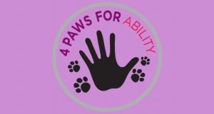 Courtney Golin, 4 Paws For Ability, service dogs, special needs, seizure alert dogs, Razoo, fundraiser, donations, Santa Clarita Valley, Valencia